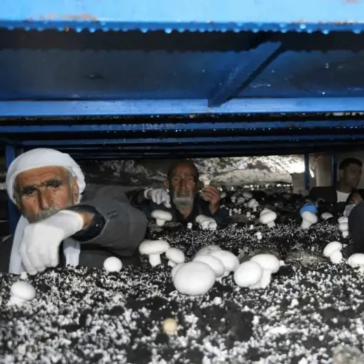 Dededen kalan iki bin yıllık mağarada para basıyorlar: Kendi imkanlarıyla kurdular, şimdi talebe yetişemiyorlar