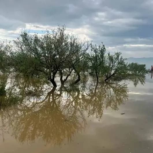 Menderes Nehri taştı: İncirliova-Koçarlı yolu sular altında kaldı