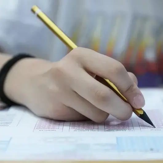 MEBİ'de LGS öğrencileri için mart ayı örnek soruları yayımlandı